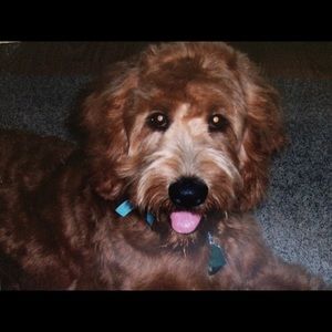 Meet your Posher, Barbara